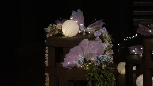 嘉年华与文化展览 | 第二十五届马大灯笼节 CARNIVAL & EXHIBITION PTUM 25