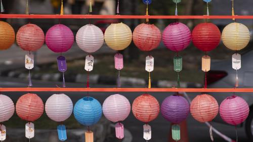 嘉年华与文化展览 | 第二十五届马大灯笼节 CARNIVAL & EXHIBITION PTUM 25